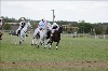 UKPA  NC Sat_1430